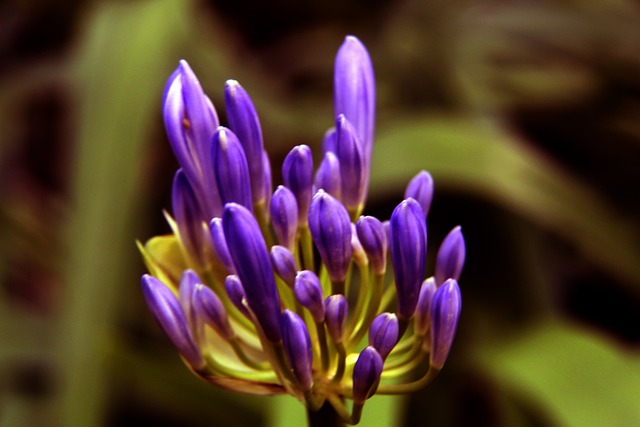 产业打造成 产业打造成