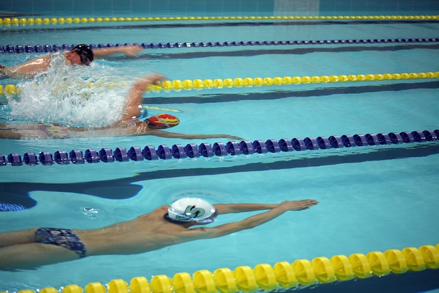 这片美丽的 这片美丽的