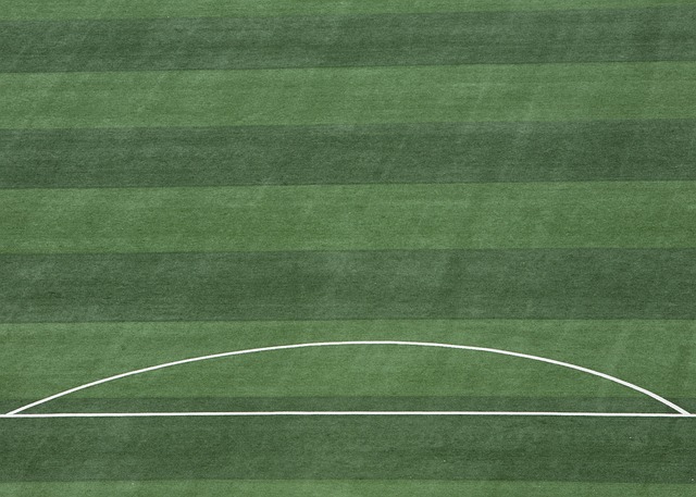 这场比赛被 这场比赛被