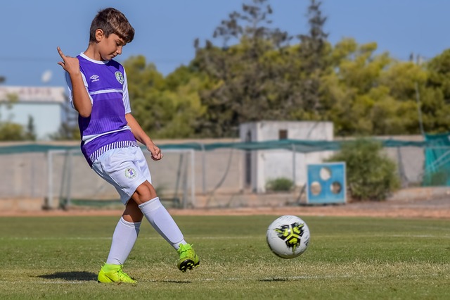 他的自荐 他的自荐