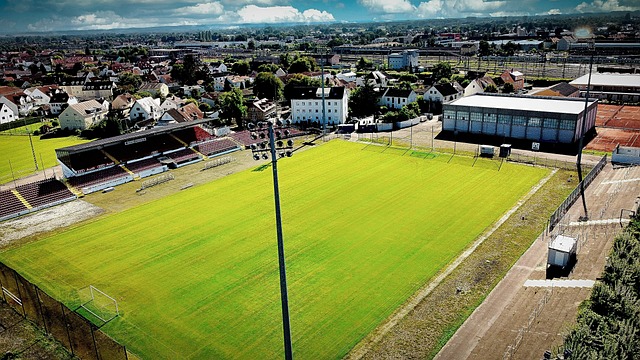 个联盟对于 个联盟对于