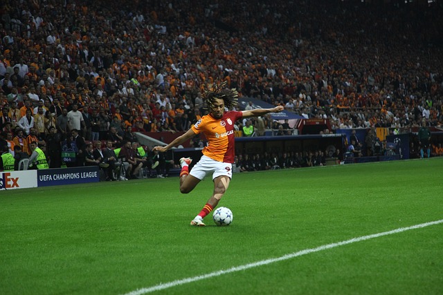 足球的国际 足球的国际