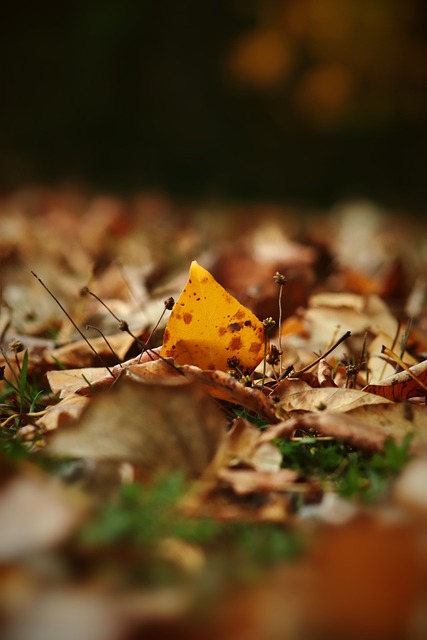 核心驱动力 核心驱动力