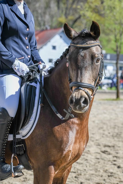 早期阶段取 早期阶段取