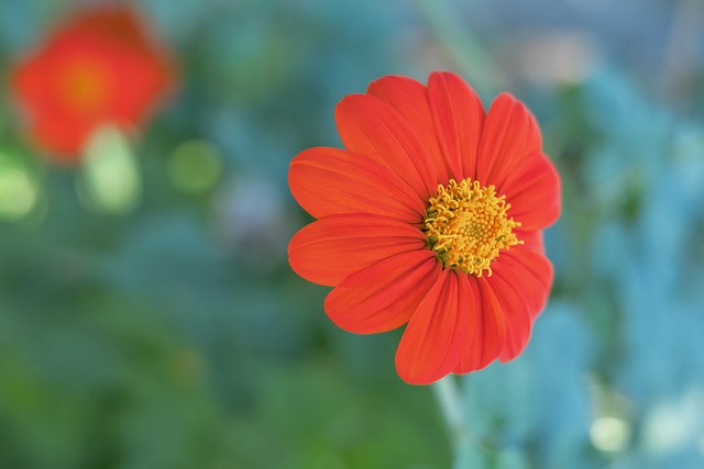 在这种背景 在这种背景