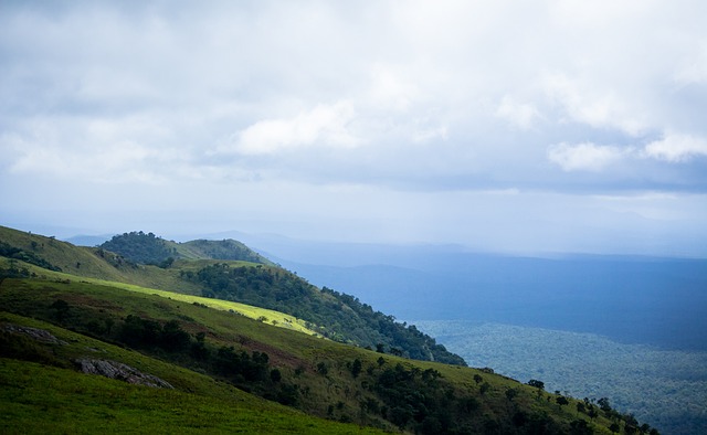 事迅速引发 事迅速引发