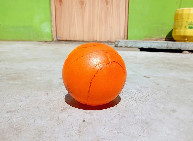 的能够借助 的能够借助