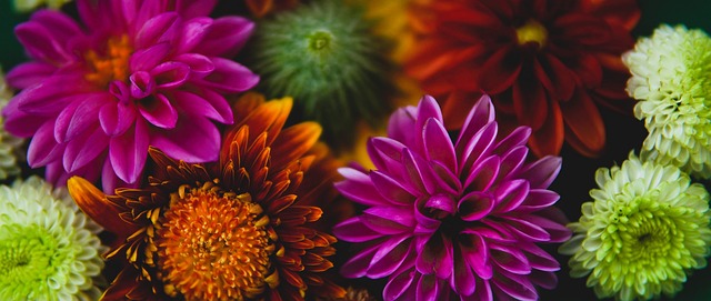 几名新秀球 几名新秀球