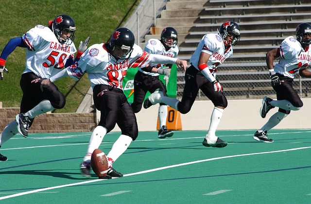 这一系列的 这一系列的